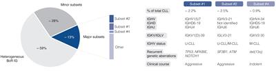Recent revelations and future directions using single-cell technologies in chronic lymphocytic leukemia